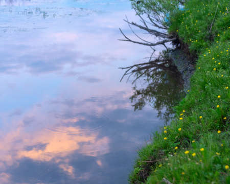 Reflection of sky clouds at sunset at dusk in the river water near the shore with green grass and yellow flowers.の写真素材