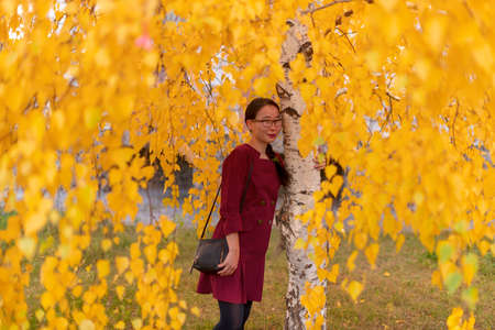 Yakut Asian young happy girl dress with handbag with glasses and with ornaments hugging birch with yellow leaves in autumn.の写真素材