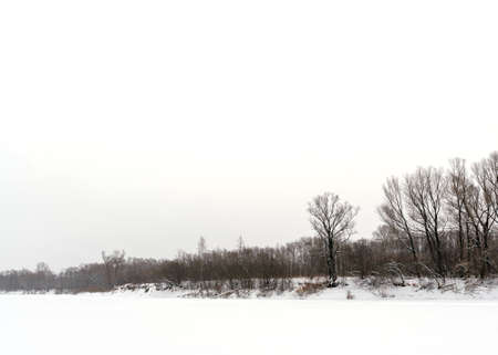 A strip of forest on a white background of a snowstorm begins small from the edge and ends with large trees on the Bank of the snow-covered ice of the river.の写真素材