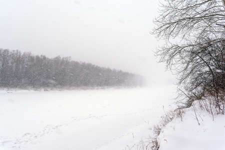 Obliquely flying in the wind snow flakes cover their tracks in a heavy snowstorm on the ice of the Siberian river on the background of trees on two banks.の写真素材