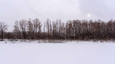 The winter sun shines through the clouds over a strip of forest trees and bushes near the ice of the river.の写真素材