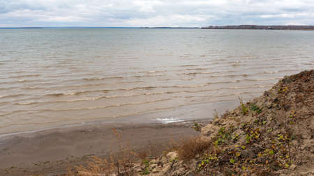 Waves of autumn muddy sea with clay wash the sandy shore with the remains of green vegetation on the slope.の写真素材