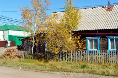 A wooden house with Windows behind a fence stands next to a yellow birch at a fork in the road in the Northern village of Yakutia ulus Suntar.の写真素材