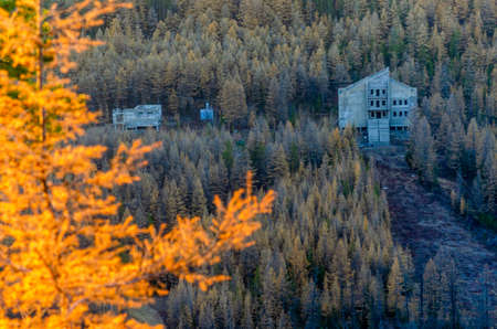 An abandoned unfinished hotel in a mountain place in Yakutia stands in the forest on a hill among the trees in the autumn in the taiga near the road against the background of yellow branches of coniferous spruce.の写真素材