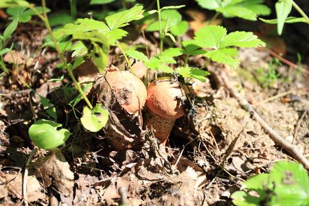 Great Russian lake and landscapeの写真素材