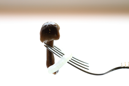 Delicious marinated mushrooms with onions in a plate, on a fork.の写真素材