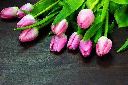 pink tulips on a wooden tableの写真素材