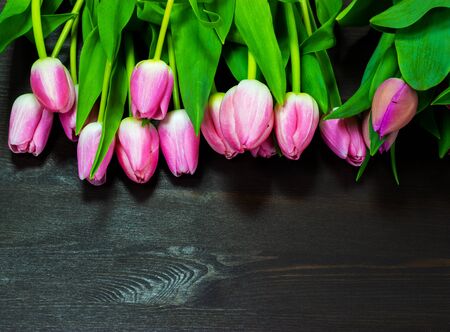pink tulips on a wooden tableの写真素材