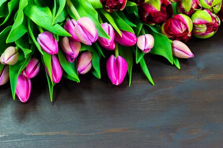 pink tulips on a wooden tableの写真素材