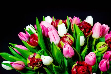bright bouquet of tulips on a dark backgroundの写真素材