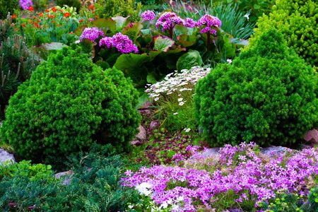 Beautiful view of the landscaped garden. Landscaping landscaping area in summer. Landscape design with flower beds.の写真素材