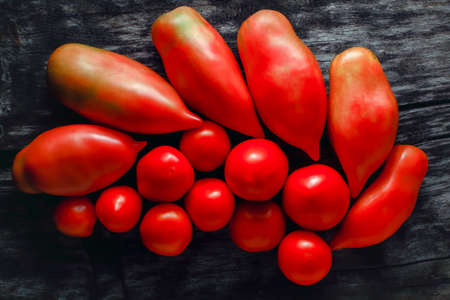 Assorted red tomatoes on old wooden surfaceの写真素材
