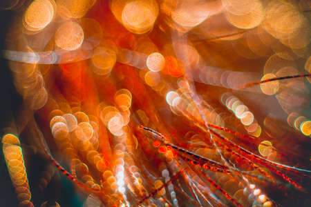 Festive vintage abstract background with bokehの写真素材