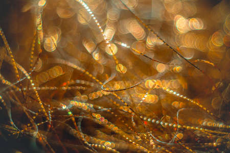Golden streamers with sparkling glitter - Christmas holidays hackground. Selective focusの写真素材