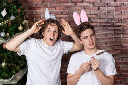 Two funny guys in suits rabbits celebrating christmas over brick wallの写真素材