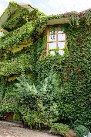 Tall country house overgrown with greenery. Eco housing. Beautiful building for people's lifeの写真素材