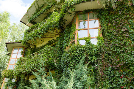 Tall country house overgrown with greenery. Eco housing. Beautiful building for people's lifeの写真素材