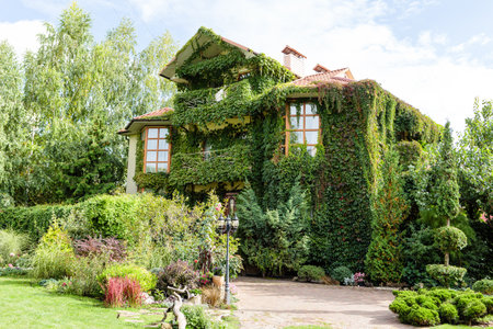Tall country house overgrown with greenery. Eco housing. Beautiful building for people's lifeの写真素材