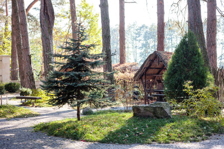 Beautiful wooden gazebo for outdoor recreation. Place in nature with a wooden houseの写真素材