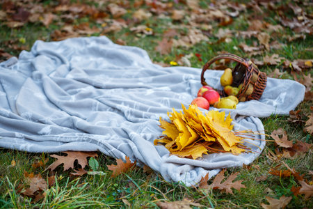 Autumn picnic in the park, the forest on the bedspread, in the basket pumpkin, apples, fresh baguette. Fallen leaves on the groundの写真素材