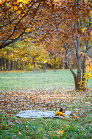 Autumn picnic in the park, the forest on the bedspread, in the basket pumpkin, apples, fresh baguette. Fallen leaves on the groundの写真素材