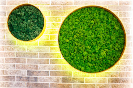 decorative grass in the interior on a brick wallの写真素材