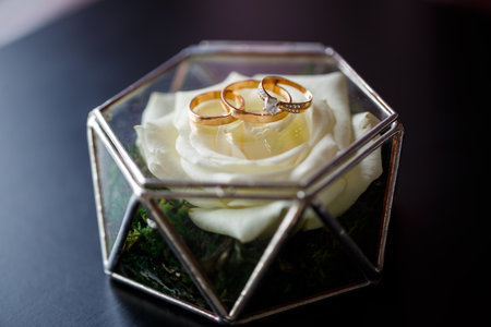 Gold wedding rings for newlyweds on their wedding day. Jewelry for the holiday of a couple in love