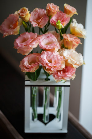 Beautiful flower with leaves standing in a medical test tubeの写真素材