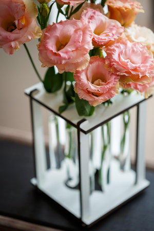Beautiful flower with leaves standing in a medical test tubeの写真素材