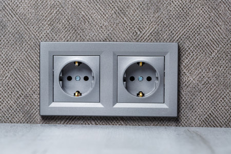 Socket gray with ground with an input for two devices. She is on the gray wall above the counting...