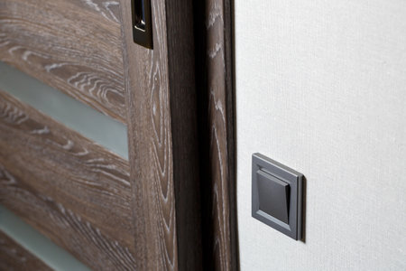 Two-key switch of gray color near the door, plastic mechanical switch. The light switch is installed after repair. Energy saving concept. Close up light switchの写真素材
