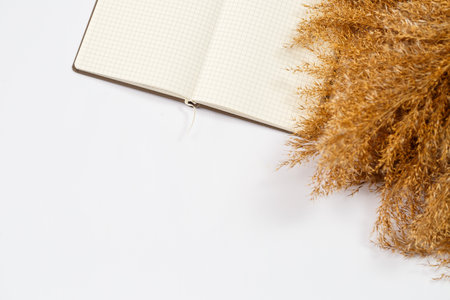 a notebook with clean white sheets for writing with a pen on a white background, crumpled dry branches nearby. Record, report, message, letter. Place for textの写真素材