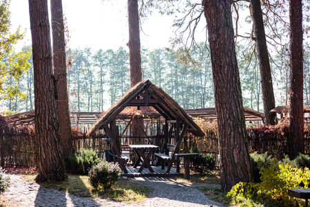 Beautiful wooden gazebo for outdoor recreation. Place in nature with a wooden houseの写真素材