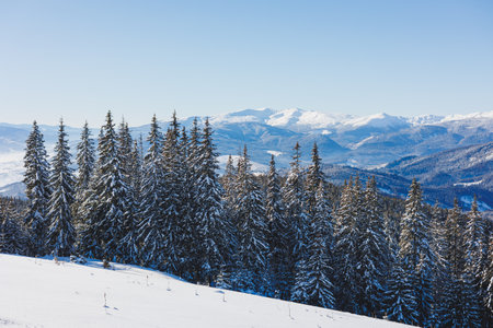 Winter landscape of snowy mountains with winter forest. Winter landscape