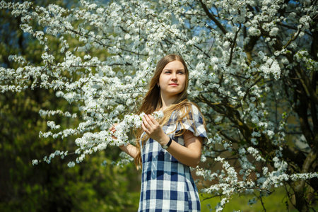 beautiful girl in a dress walking in the spring forest where the trees bloomの写真素材