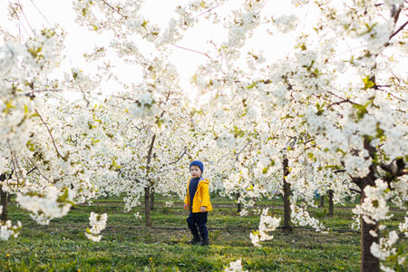 A little three-year-old joyful boy runs on the grass in a blooming garden in the spring. Children emoticon of joy, happy smiling child.の写真素材