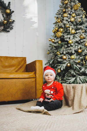 A little boy 1 year old sits in a basket against the background of a Christmas tree. A child in a red New Year's wind near the Christmas treeの写真素材