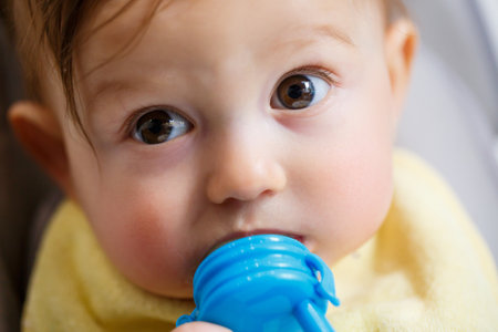 A small child sits on a high chair and eats fruits through the net. Nibbler for feeding babiesの写真素材