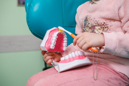The child sits in the dentist's office and holds an artificial jaw in his hands and brushes her teethの写真素材