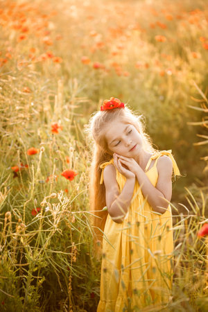 Little girl in a yellow dress runs in red poppy flowers on a background of green grassの写真素材