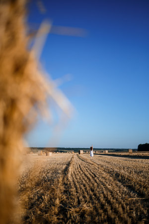 A young beautiful woman in a white summer dress stands on a mown wheat field with huge sheaves of...