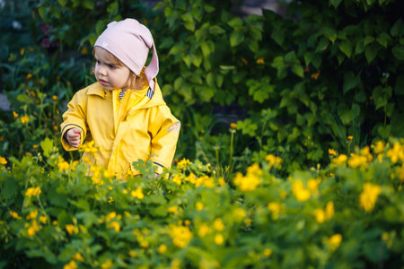 Cute girl in a yellow jacket collects flowers in a meadow. A child stood in the fresh green grass among the spring flowers. A small child makes a bouquet of the first wild yellow flowersの写真素材