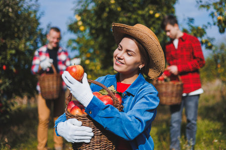 Happy smiling female worker in hat picking fresh ripe apples in orchard during autumn harvest....