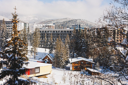 Winter landscape behind a snowy forest. Winter in the forest. Ski resort