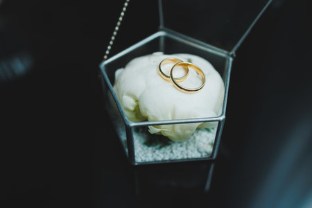 Gold wedding rings for newlyweds. Precious wedding rings for a couple.