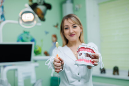 Focused close-up of a miniature of dental artificial jaws. Orthodontist dentist holds a model of teeth in his hands.の写真素材