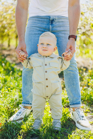 Little boy learning to walk holding hands with mom and dad. Child taking first steps.