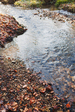 View of a forest river flowing through rocky terrain with lush green trees on a sunny day.の写真素材