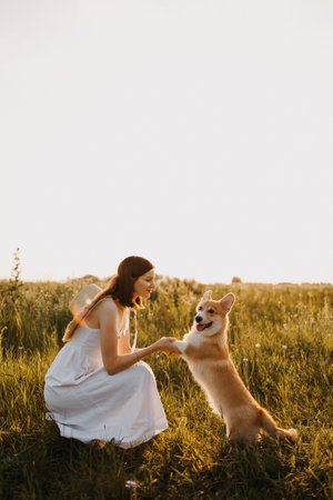 Cute young woman in a white dress playing with her dog at sunset. Summer walk with a dog. Man's best friend is a cute dog.の写真素材