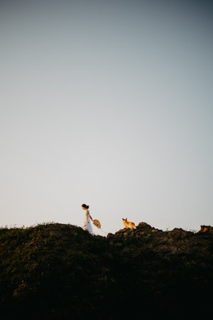 Beautiful girl in a white dress in the field with her dog. Corgi dog on the background of green...